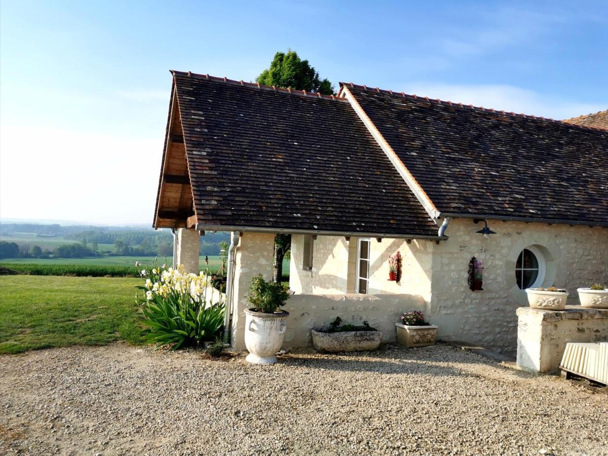 Gite De Charme Dans Un Cadre Calme Et Reposant Chatellerault Exterior photo